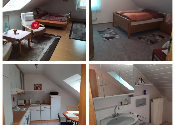 Mit Rheinblick 2-4 Personen Appartamento *